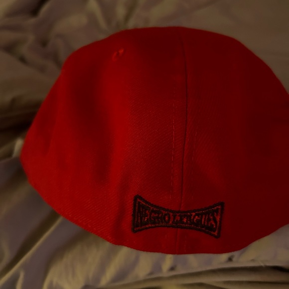 Homestead grays - Picture 5 of 5